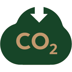 carbon negative
