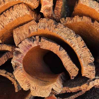 cork bark